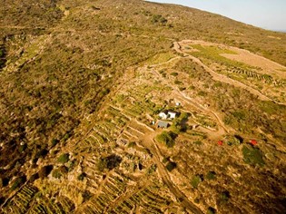 Altura Isola del Giglio