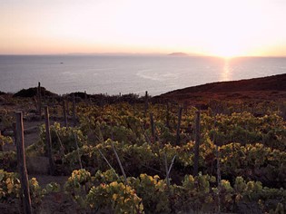 Altura Isola del Giglio