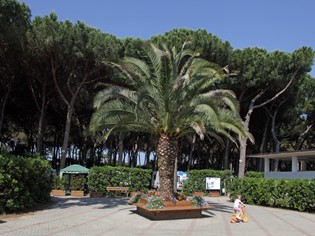 Village Camping Voltoncino Orbetello