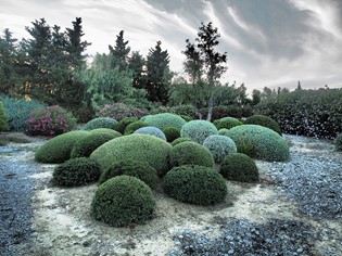  Botanical Dry Garden Orbetello