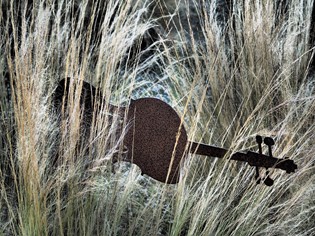 Botanical Dry Garden Orbetello