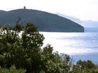 Parco della Maremma