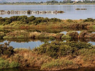 Réserve naturelle de Laguna Orbetello di Ponente