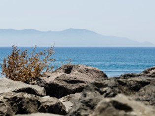 Capalbio, la piccola Atene.