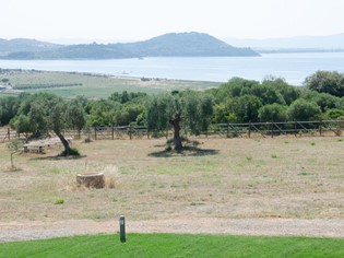 Scopri Ansonica Costa dell'Argentario