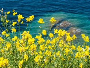 La Maremma, acque limpidissime e sconosciute