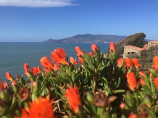 La Tagliata Etrusca e lo Spacco della Regina