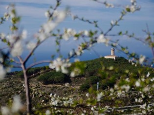 Torri e Fortificazioni  Mare Toscana
