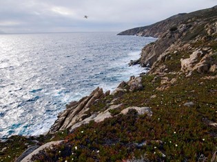 Torri e Fortificazioni  Mare Toscana